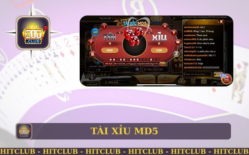 TÀI XỈU MD5 LÀ GÌ? KHÁM PHÁ CÙNG HITCLUB