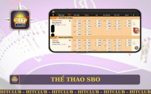 HITCLUB NƠI CÁ CƯỢC THỂ THAO SBO UY TÍN